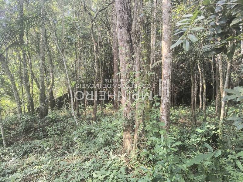 Terreno em Condomínio venda Roseira - Referência 3083